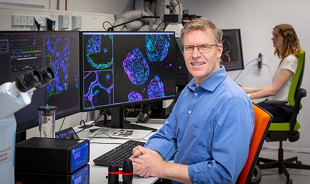 Prof. Matthias Hebrok, Professor für Angewandte Stammzell- und Organoidsysteme an der TUM und Direktor des TUM Center for Organoid Systems