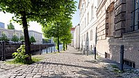 Eine Reihe mittelgroßer Linden an einem großstädtischen Kanal. Es ist Sommer und sie werfen etwas Schatten auf das Kopfsteinpflaster und eine Reihe Mehrfamilienhäuser.