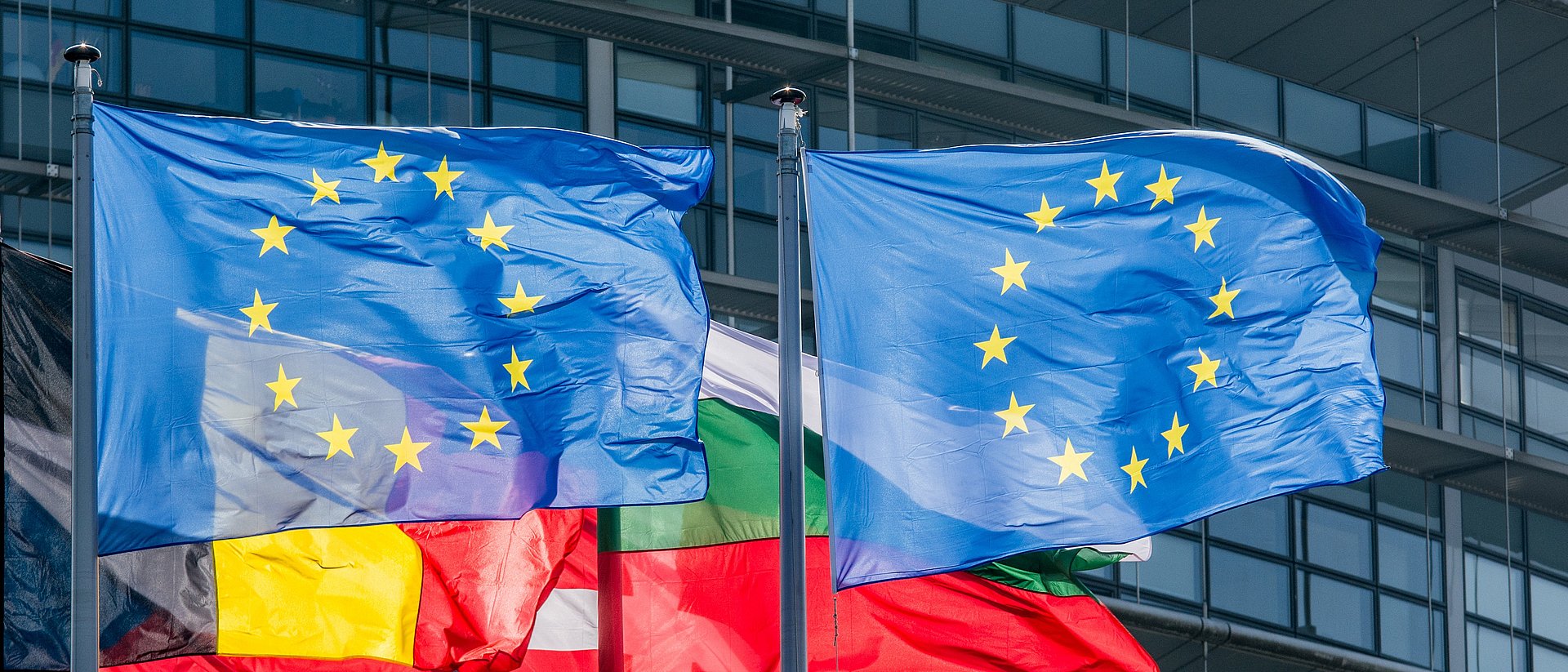 EU flags