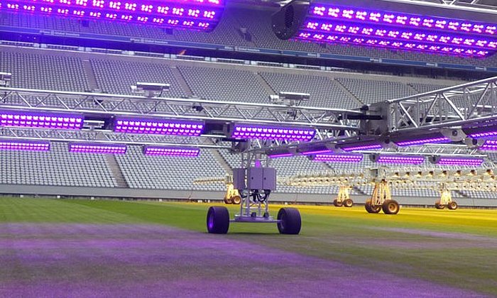 To ensure that the field is fit for the next match, TUM researchers are exploring the impact of LED lighting and the climate on different types of sports turf. (Photo: Rhenac GreenTec AG)