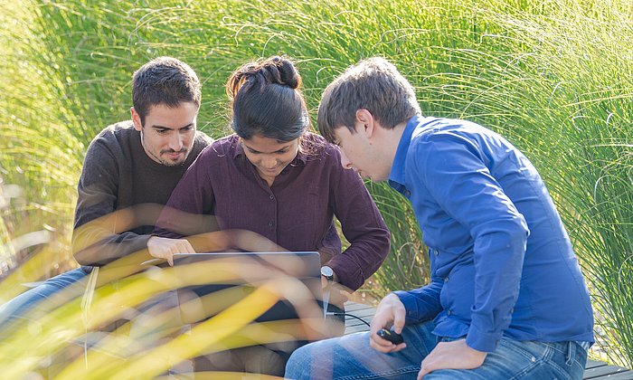 Drei Studierende, inmitten von hohen Gräsern sitzend, sehen zusammen auf einen Laptopbildschirm