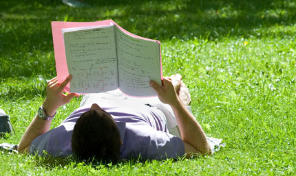 lesender Student auf der Wiese